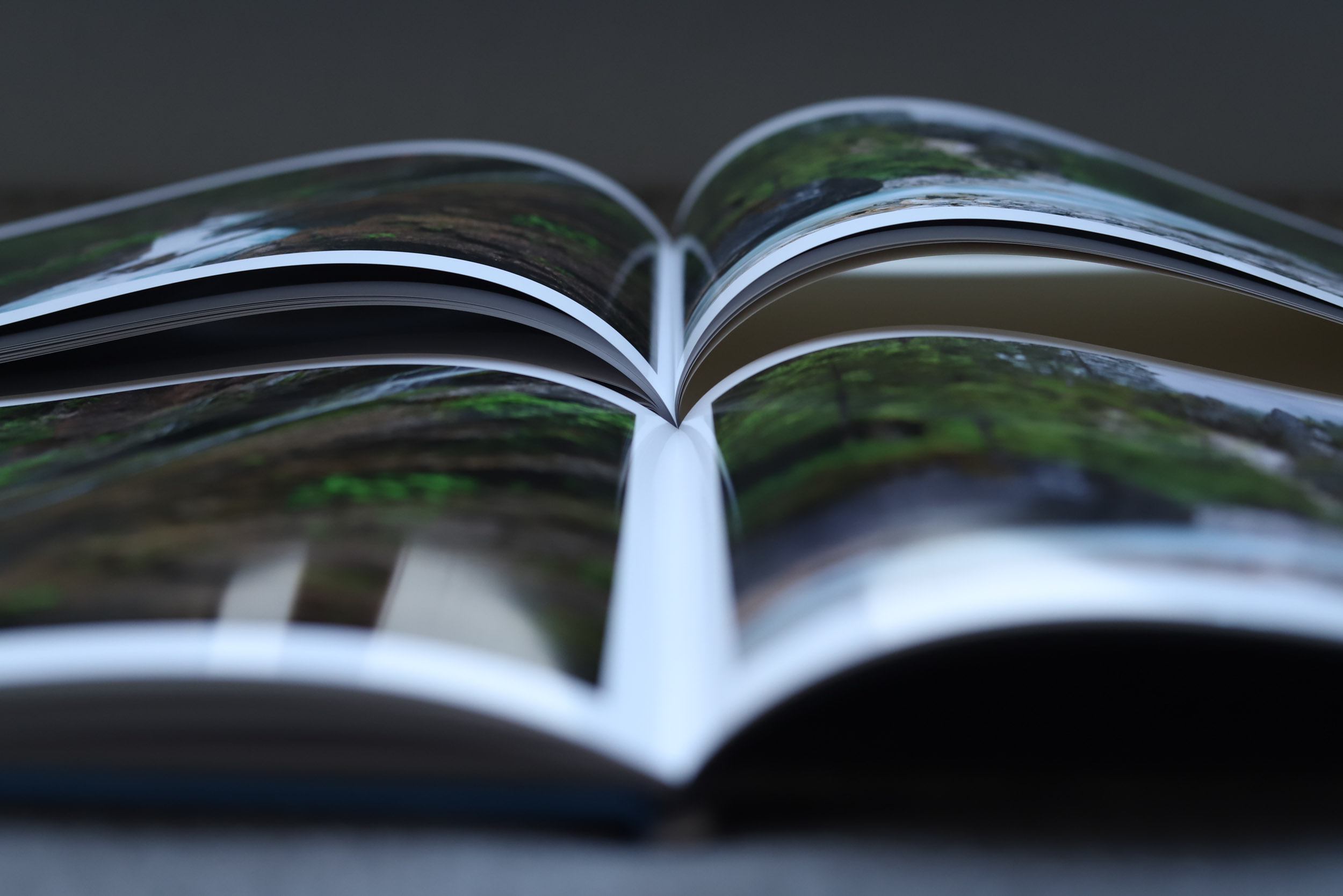 Fotobuch.de vs. CEWE – Der Fotobuch-Test